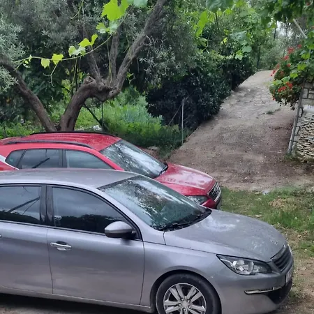 Aria's 2 * Himare